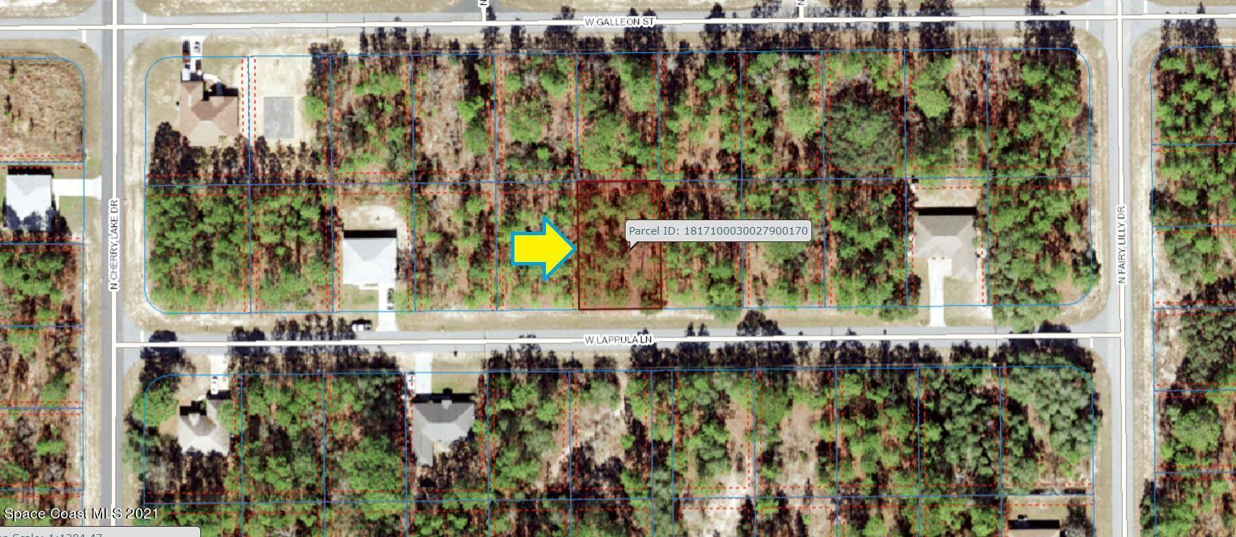 Citrus Springs, FL 34433,3705 W Lappula LN