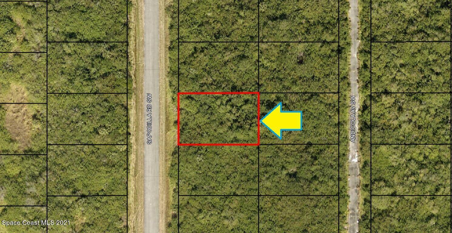 Palm Bay, FL 32908,1967 Sapodilla RD SW