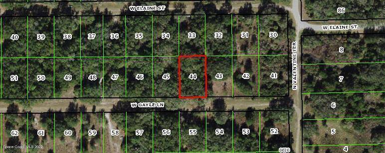 Crystal River, FL 34428,8157 W Gayle LN