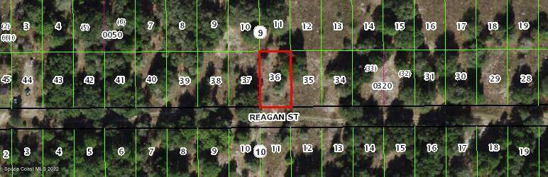 Inverness, FL 34453,2412 Reagan ST