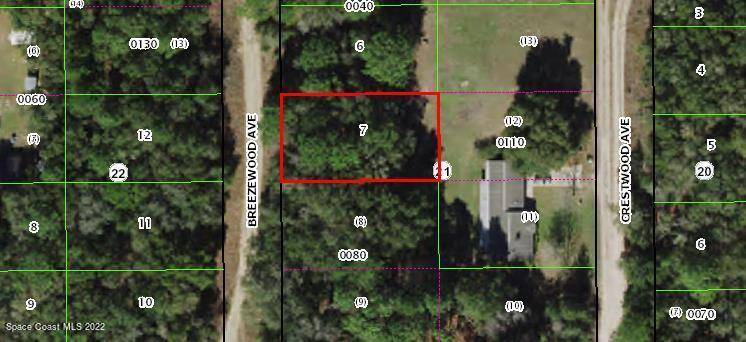 Inverness, FL 34453,806 Breezewood AVE