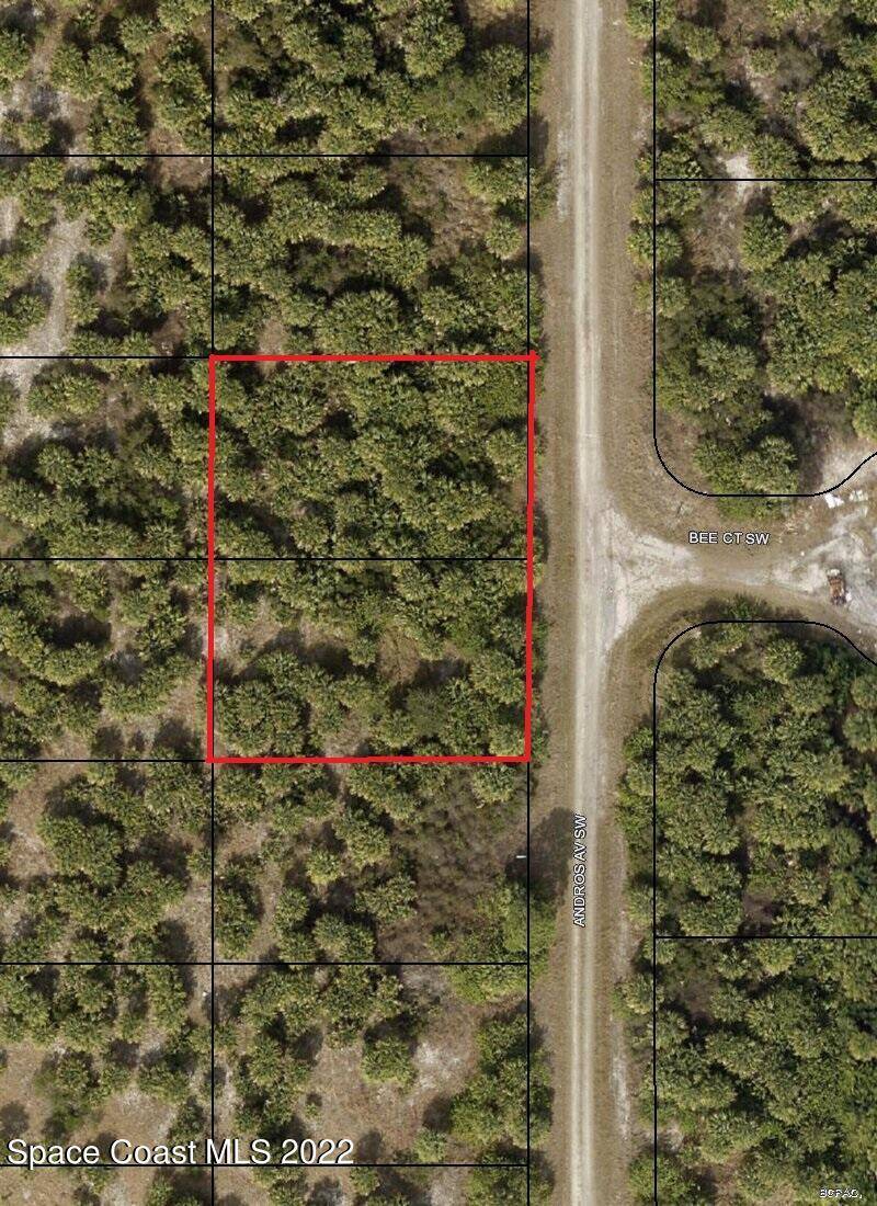 Palm Bay, FL 32908,2392 Andros AVE SW