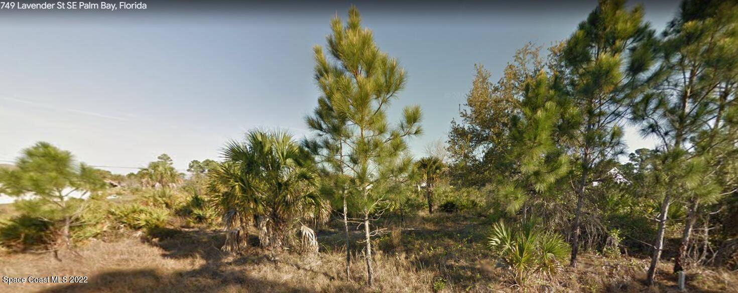 Palm Bay, FL 32909,749 Lavender ST SE