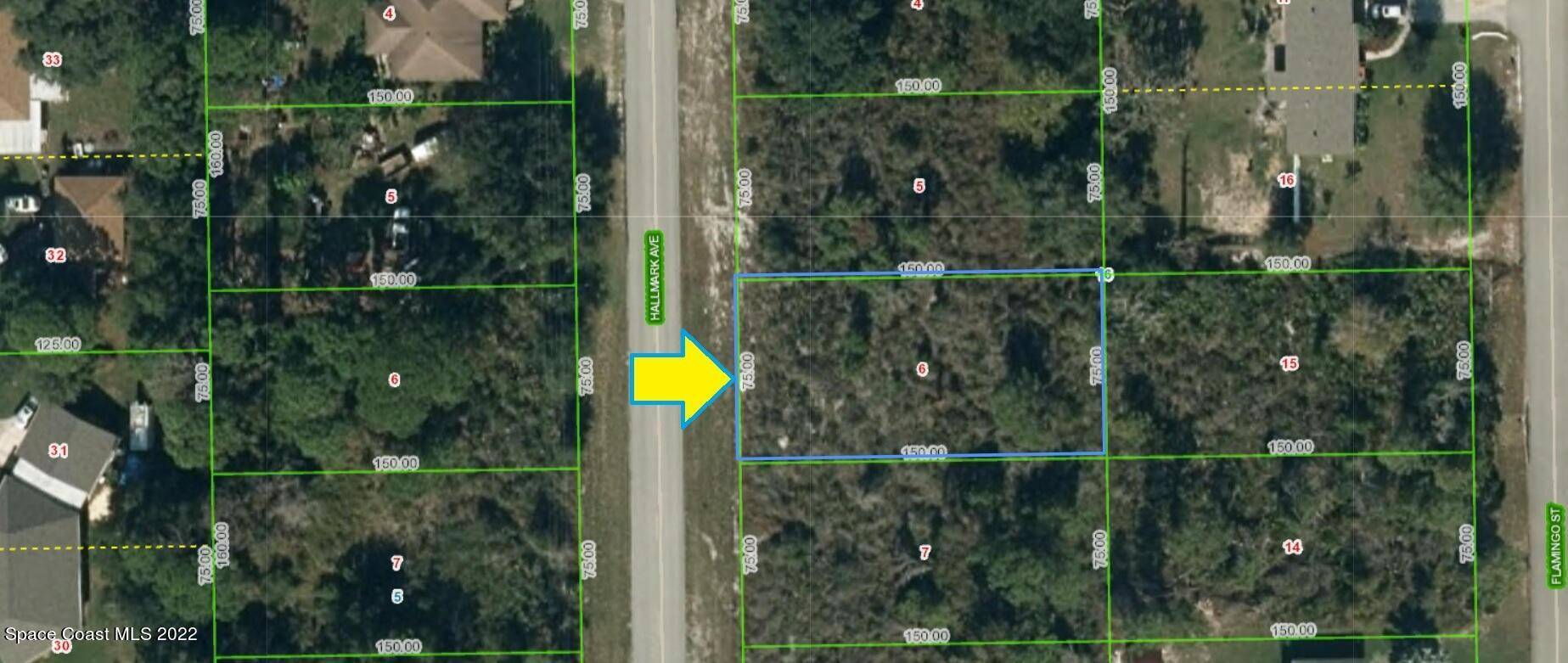 Lake Placid, FL 33852,309 Hallmark AVE