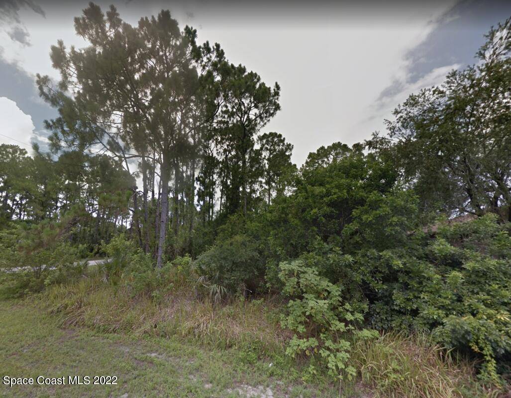 Palm Bay, FL 32909,0 Terminal ST SE