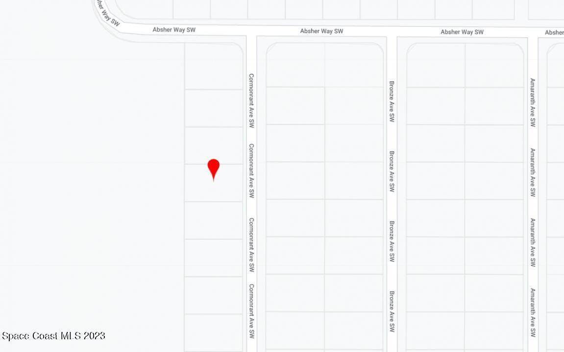 Palm Bay, FL 32908,1918 Cormorant AVE SW