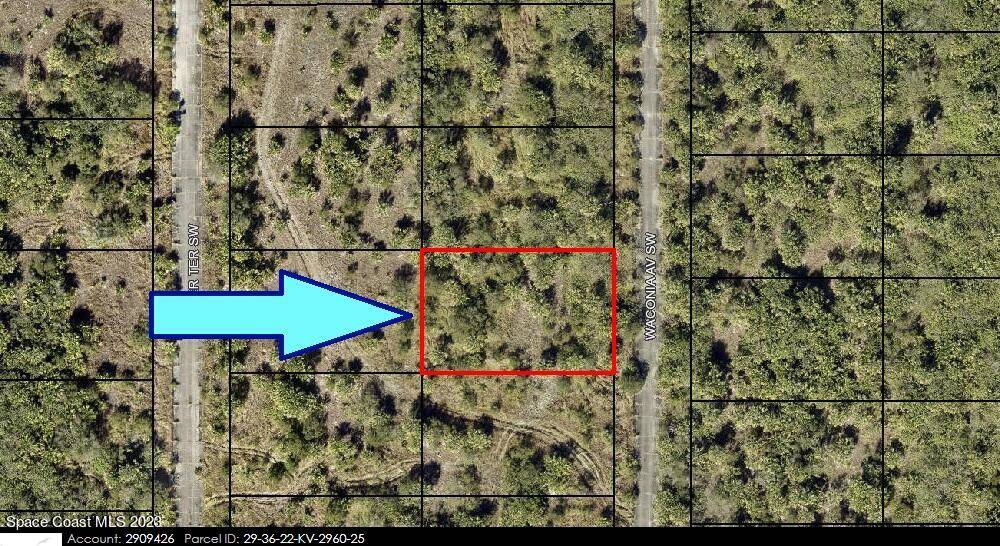 Palm Bay, FL 32908,1960 Waconia AVE SW