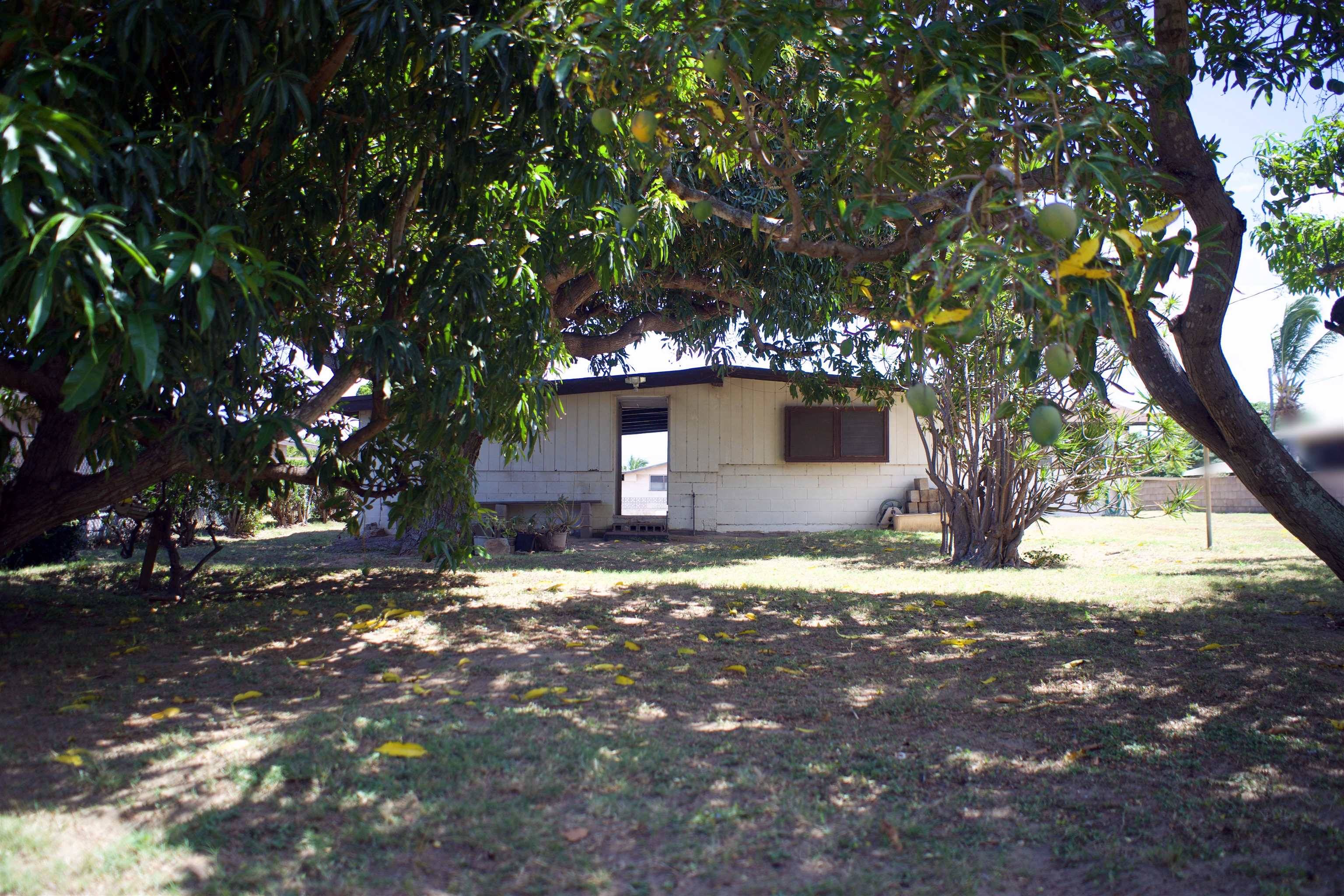 Kahului, HI 96732,252 W Lanai St