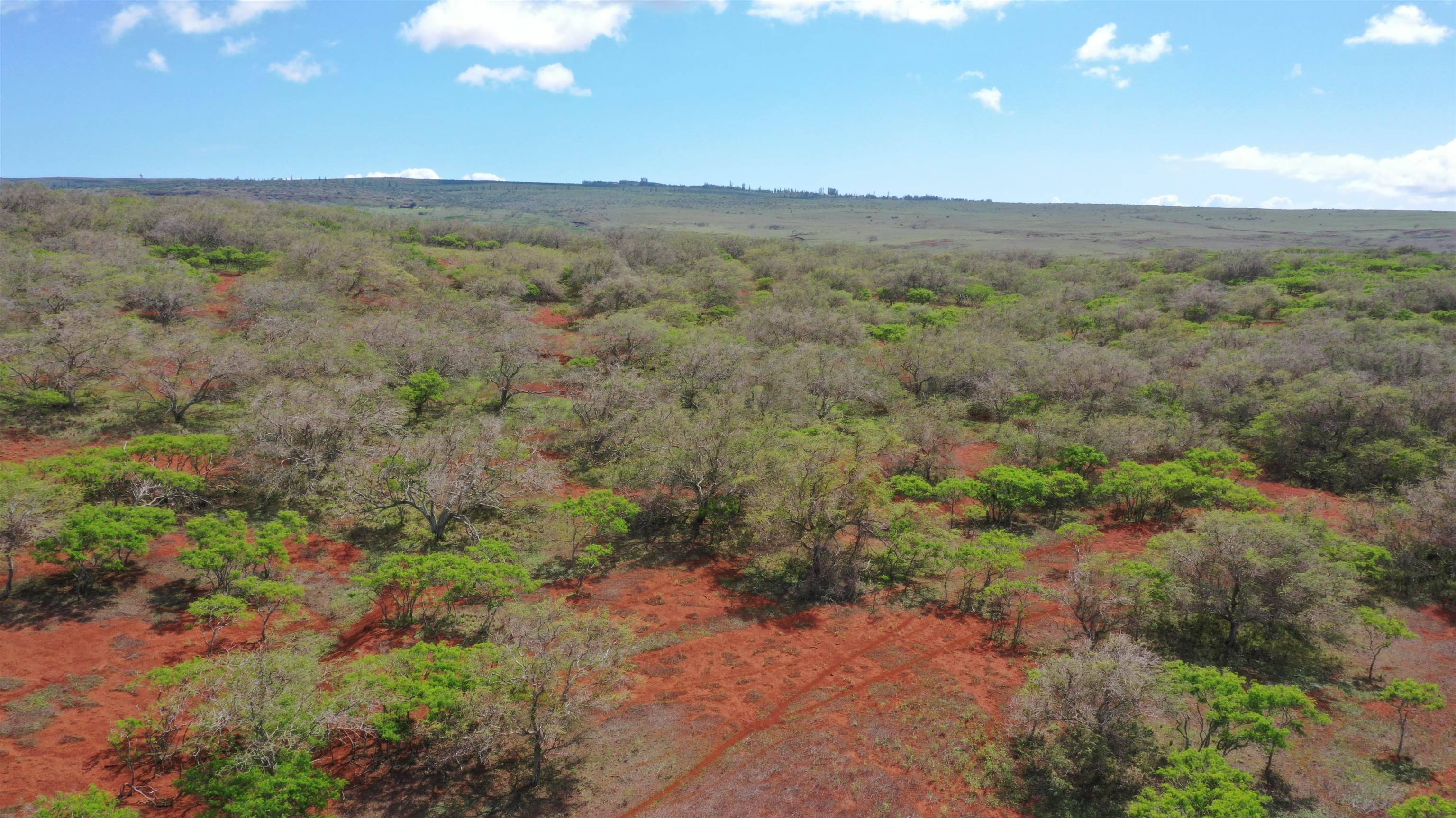 Maunaloa, HI 96770,Lot 38 Kalua Koi Rd
