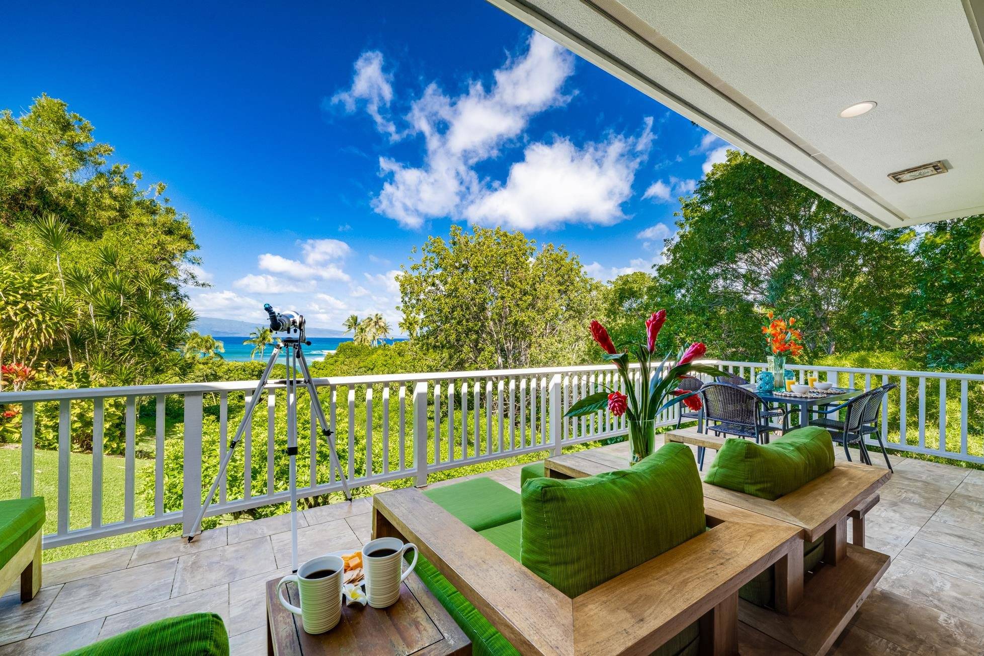 Lahaina, HI 96761,20 Hui Rd I #9
