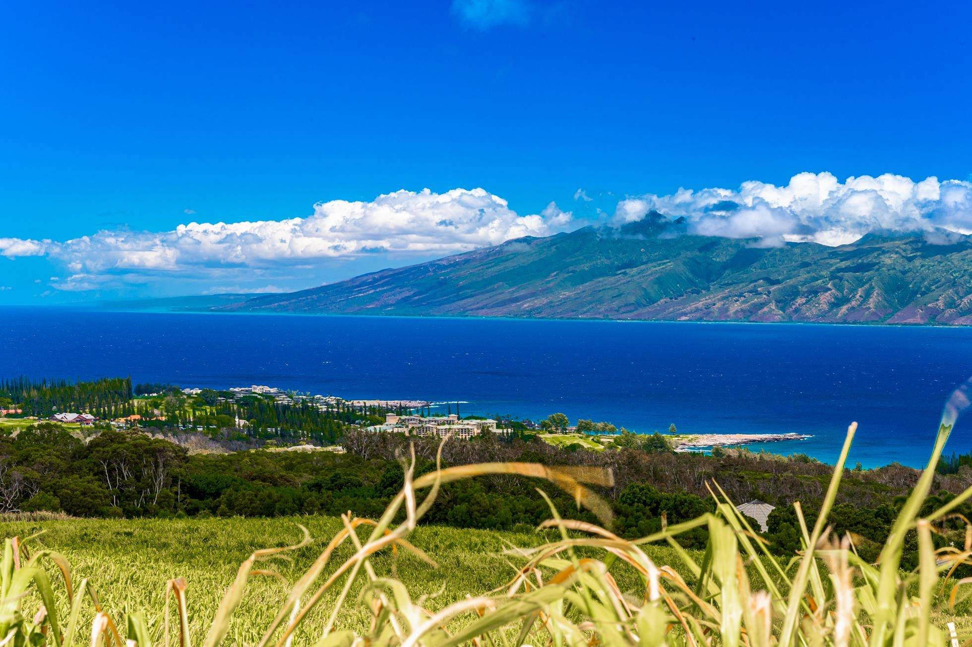 Lahaina, HI 96761,142 Keoawa Pl #25