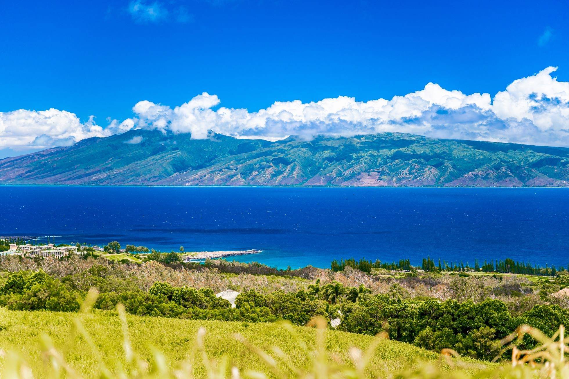Lahaina, HI 96761,142 Keoawa Pl #25