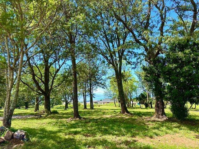 Pukalani, HI 96768,26 Kula Hwy #Unit C