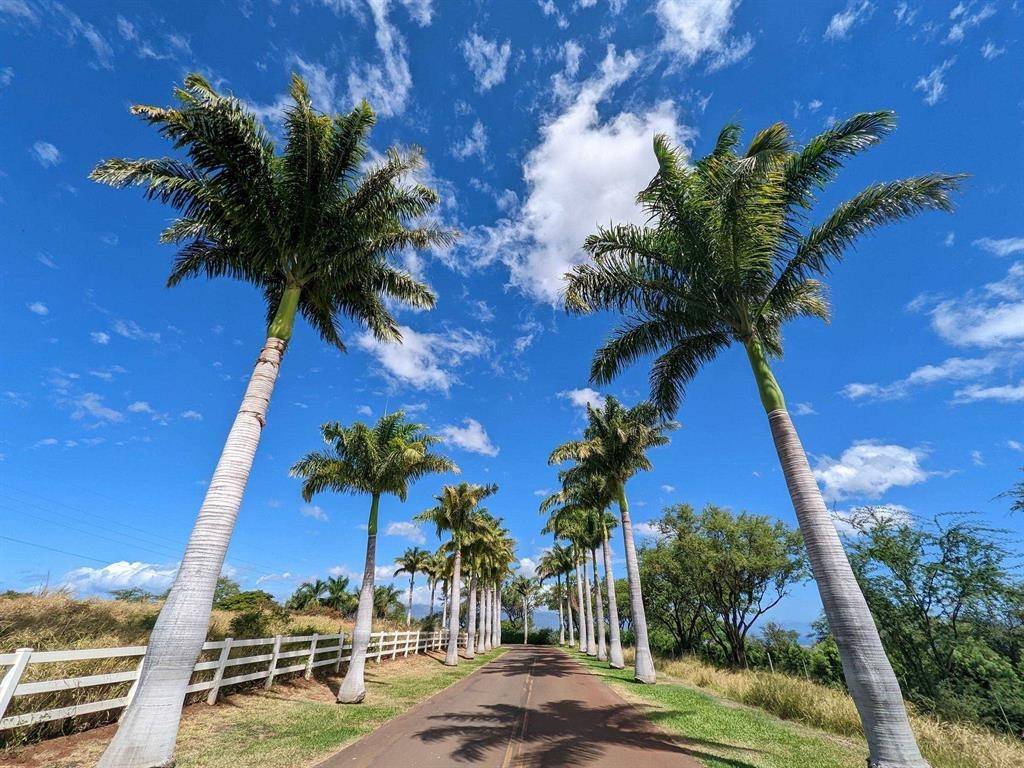Kula, HI 96790,80 Opalipali Pl