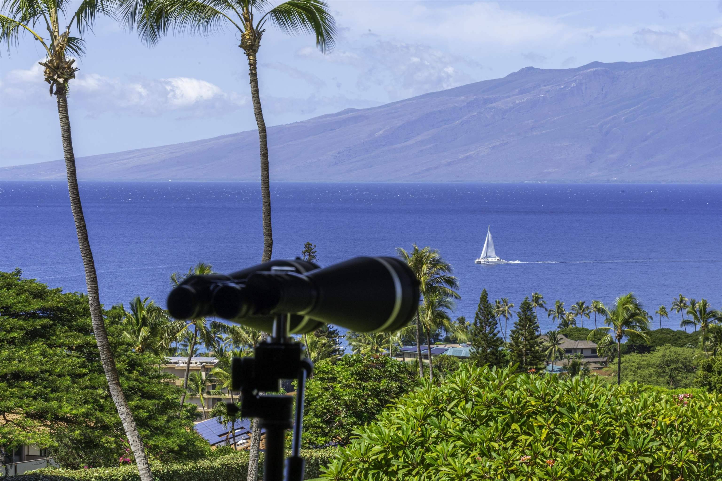 Lahaina, HI 96761,50 Puu Anoano St #1004