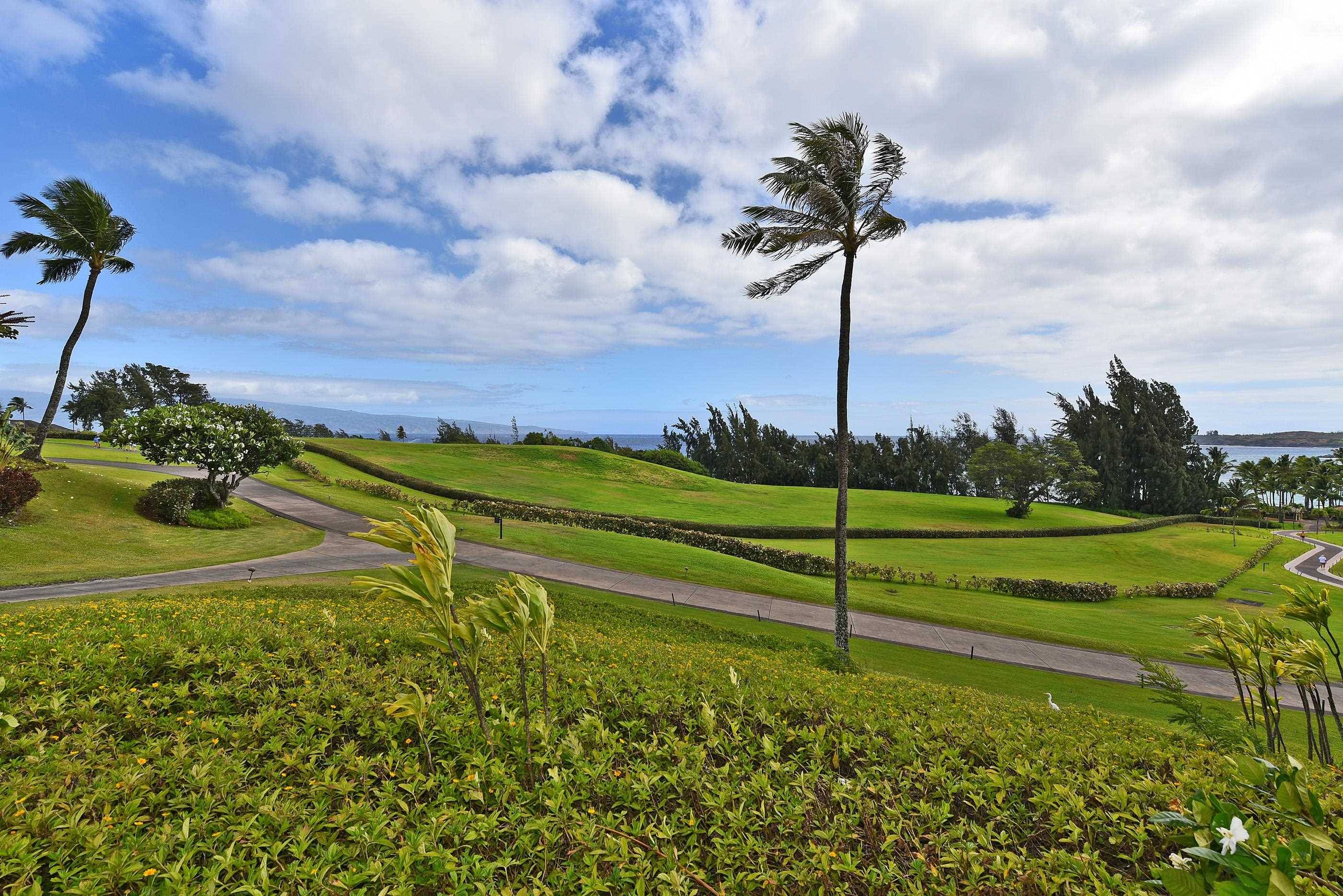 Lahaina, HI 96761,1 Ritz Carlton Dr #1126-1128