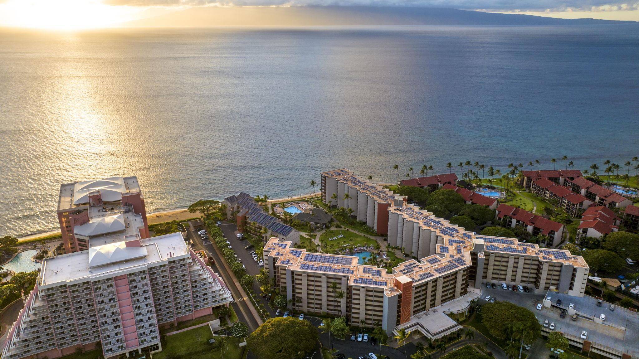 Lahaina, HI 96761,3445 Lower Honoapiilani Rd #443
