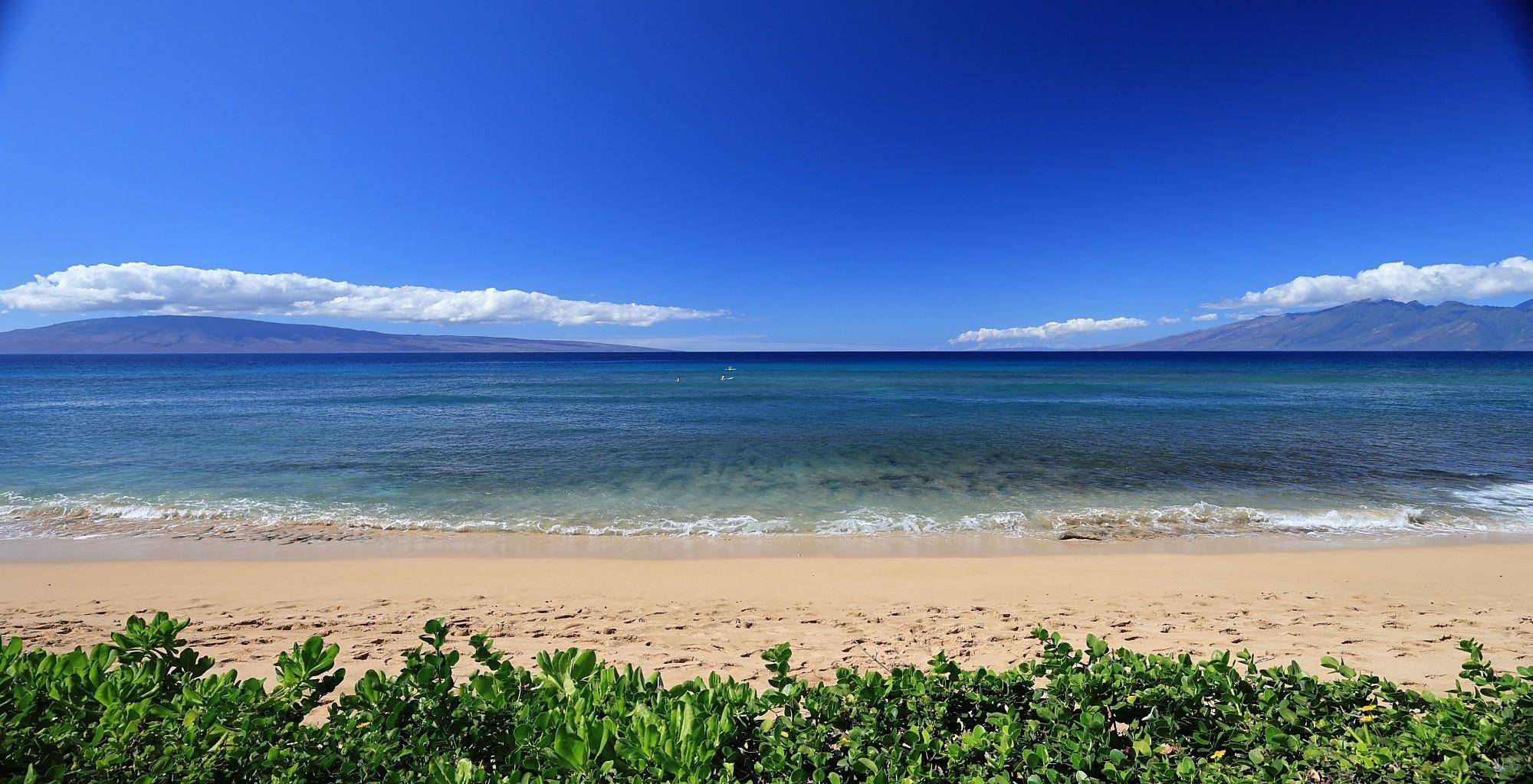 Lahaina, HI 96761,110 Kaanapali Shores Pl #1019