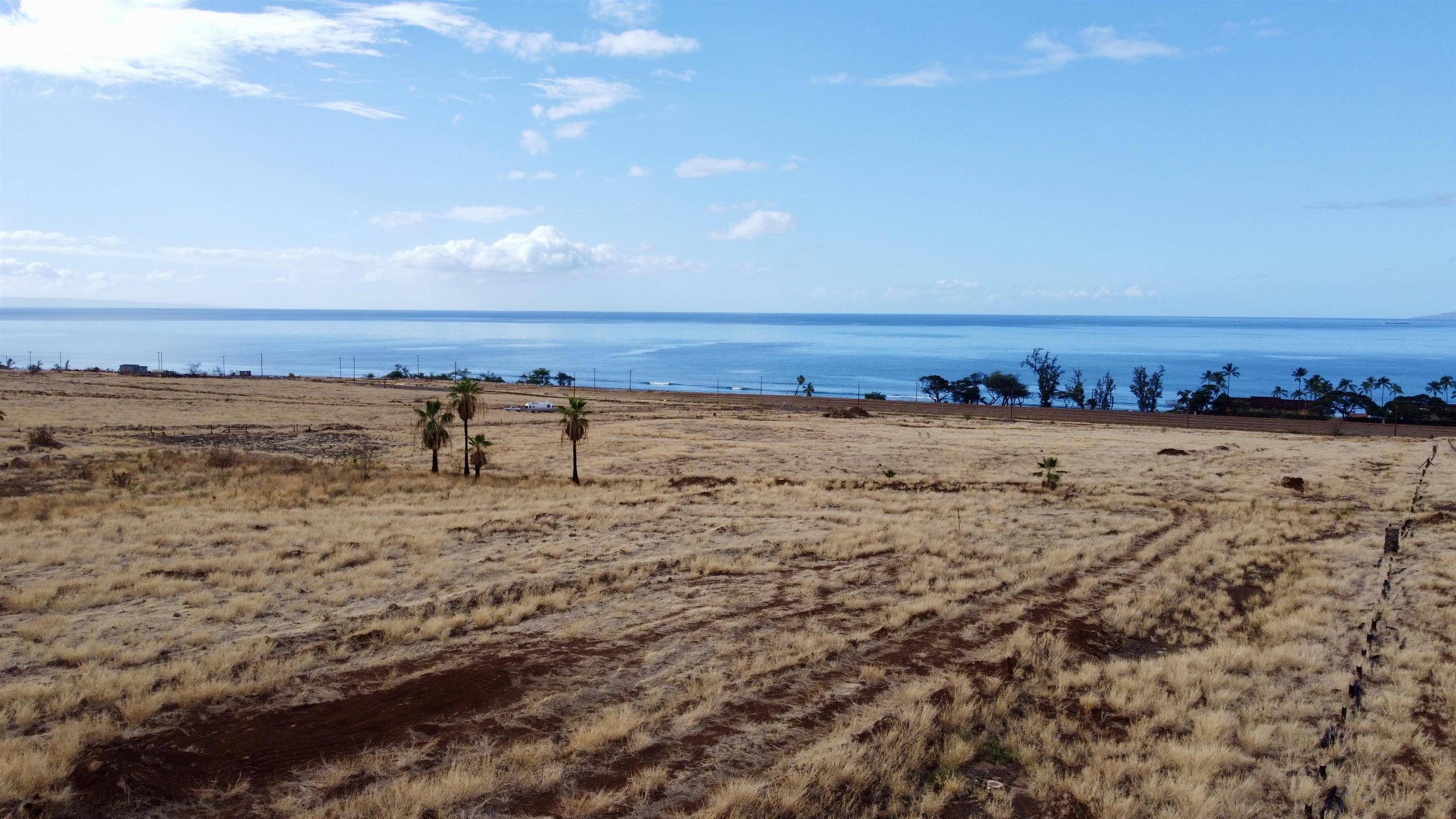 Lahaina, HI 96761,2020 Waianukole Pl #1