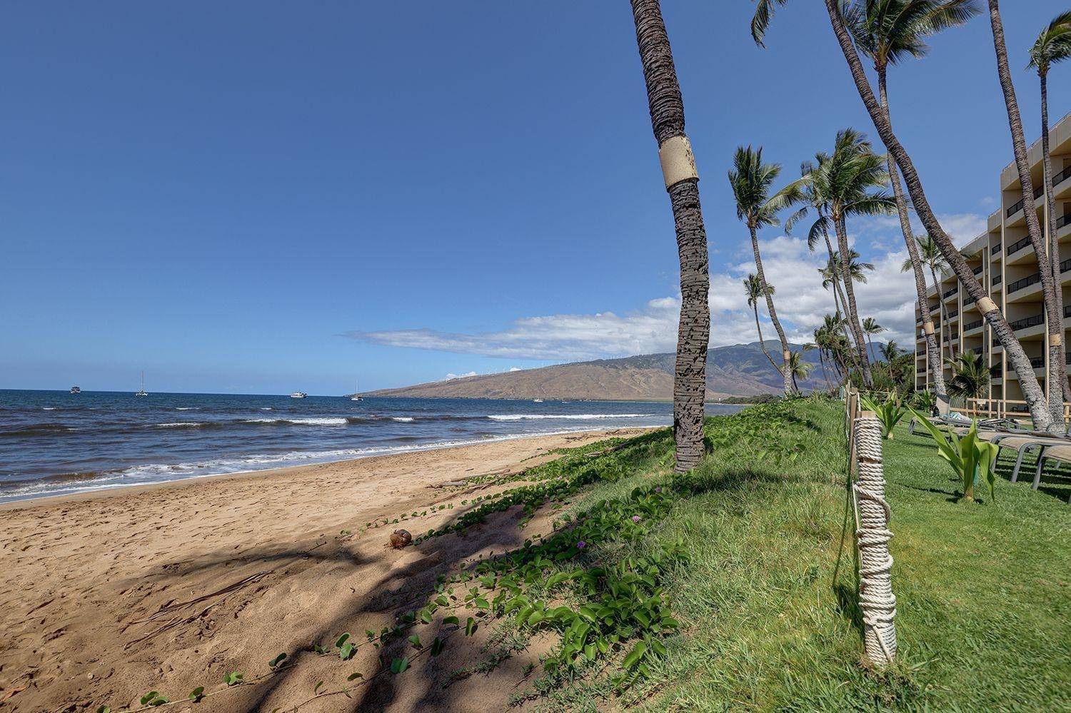Kihei, HI 96753,145 N Kihei Rd #502