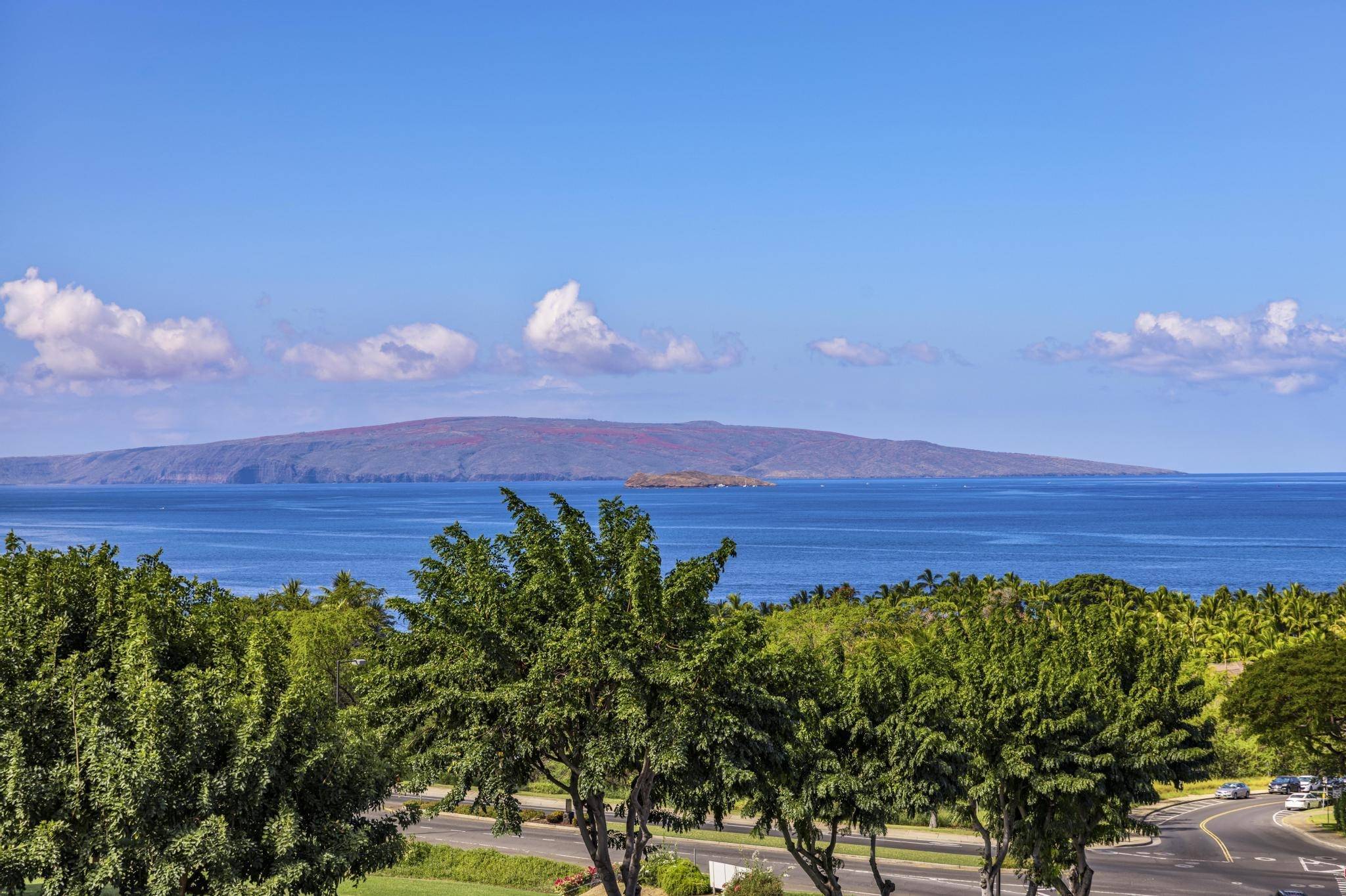 Kihei, HI 96753,244 Holomoana WAY #104 (17D)