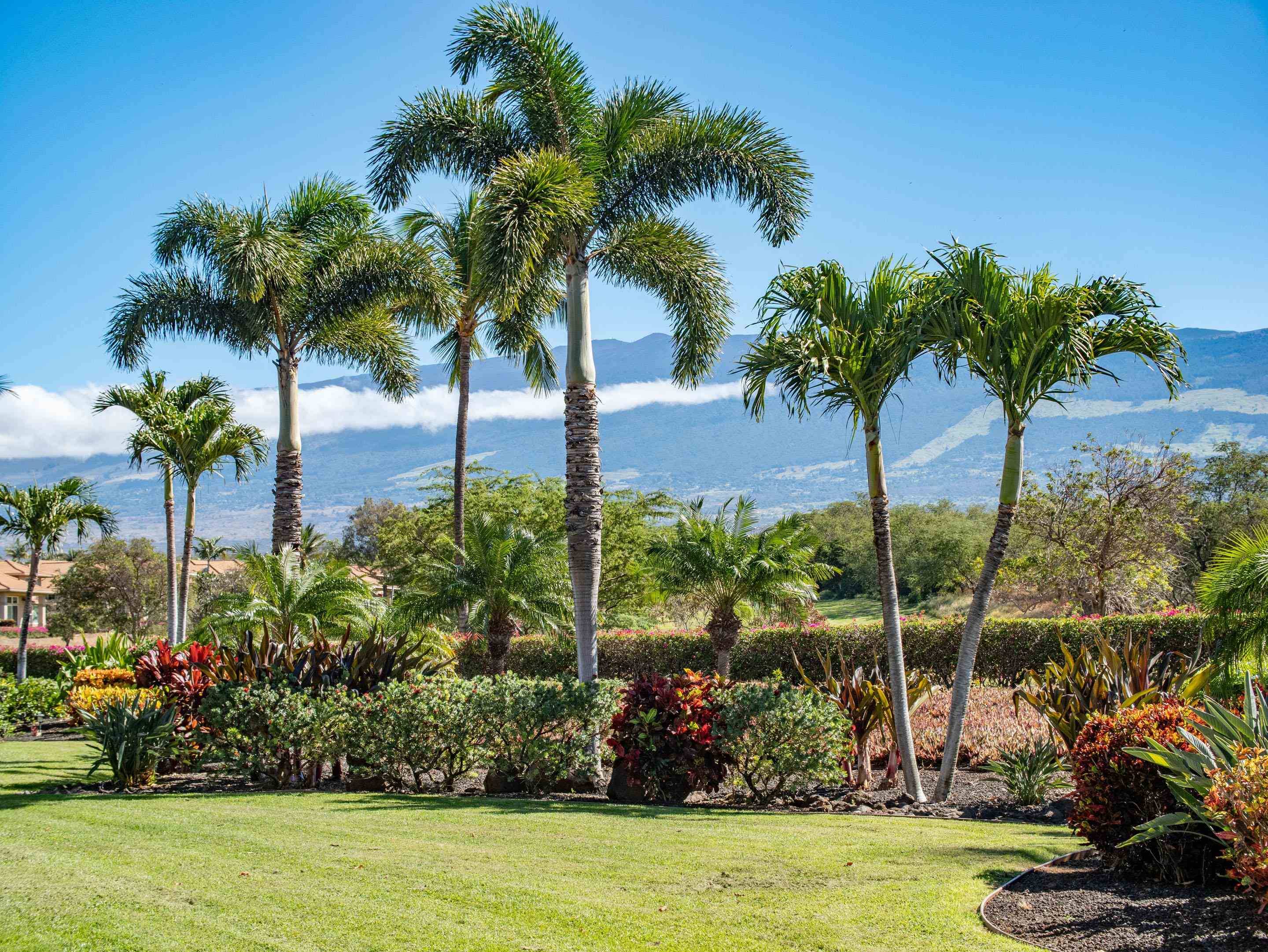 Kihei, HI 96753,1699 Hihimanu St #11