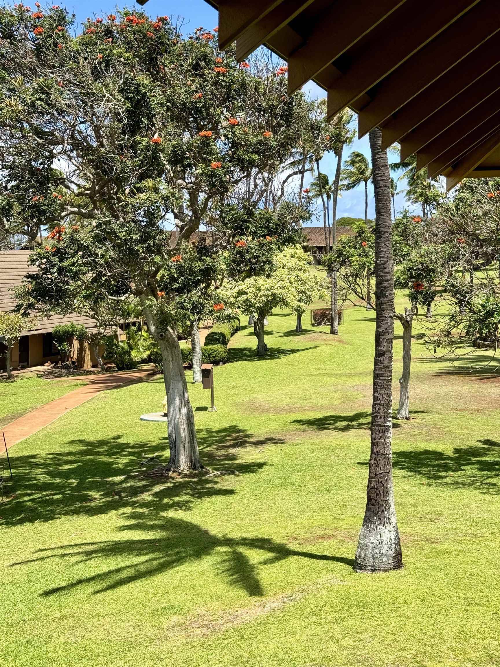 Maunaloa, HI 96770,255 Kepuhi Pl #12B08/2222