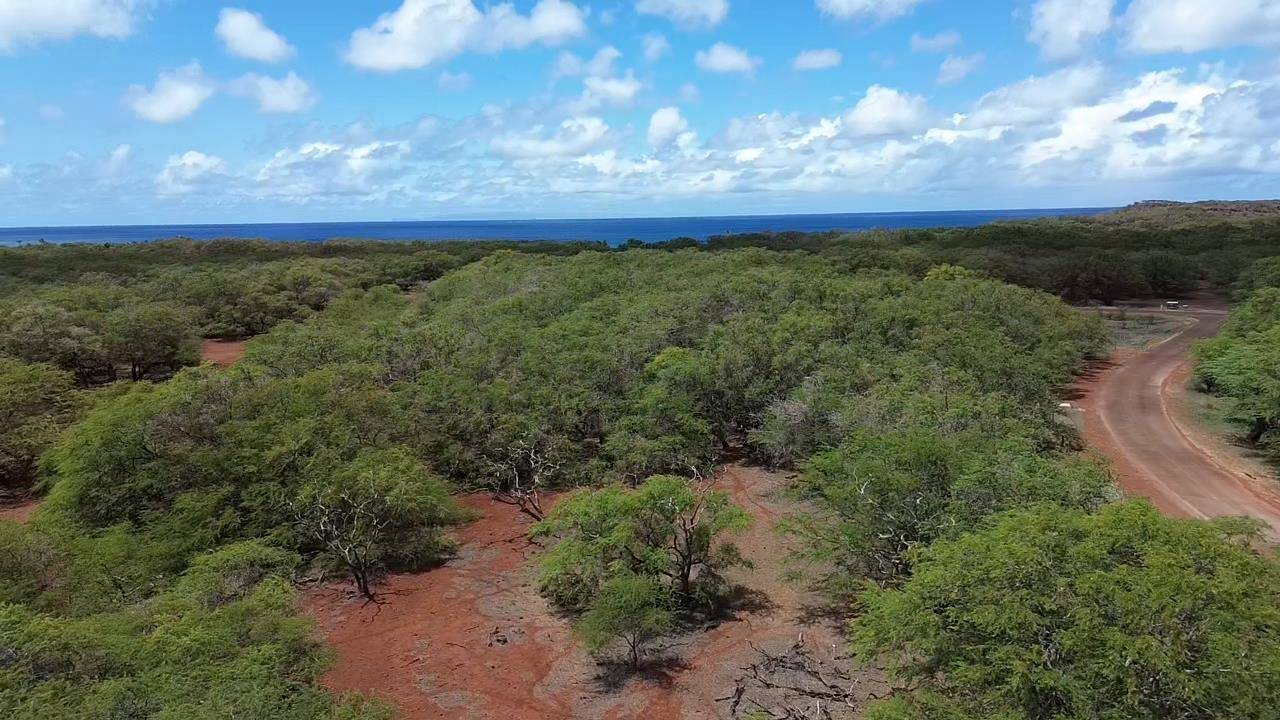 Maunaloa, HI 96770,0 Pa Loa LOOP