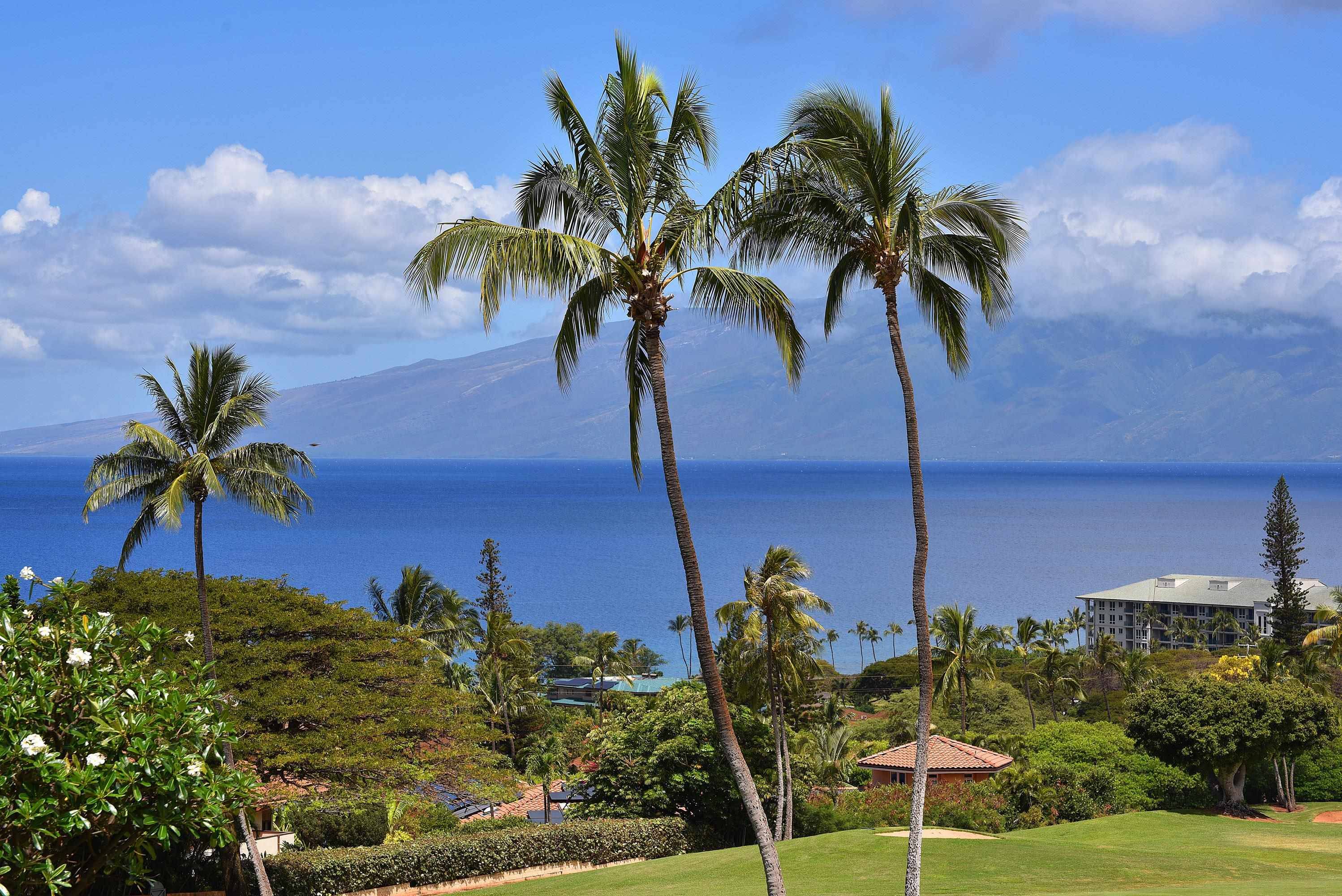 Lahaina, HI 96761-1962,50 Puu Anoano St #1006