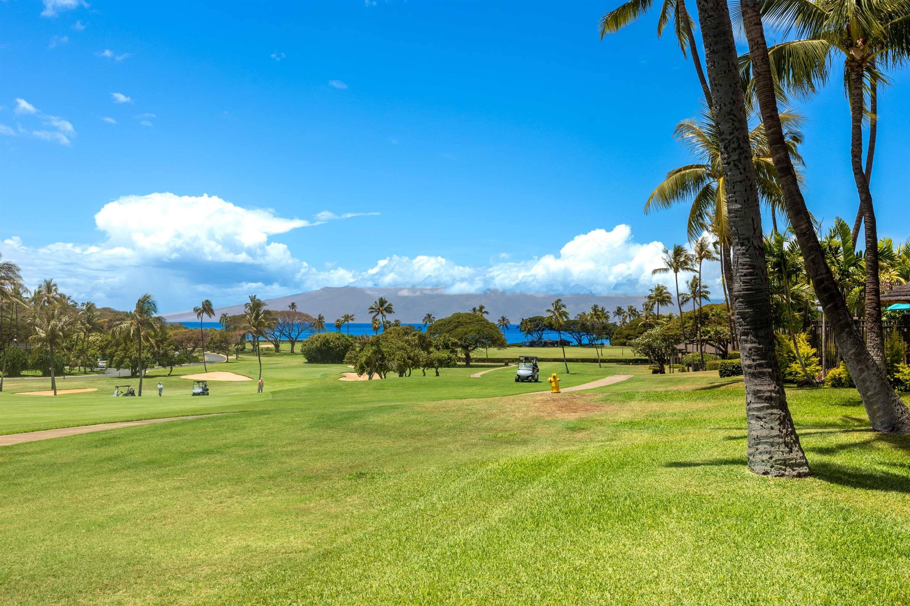 Lahaina, HI 96761,2661 Kekka Dr #A-110