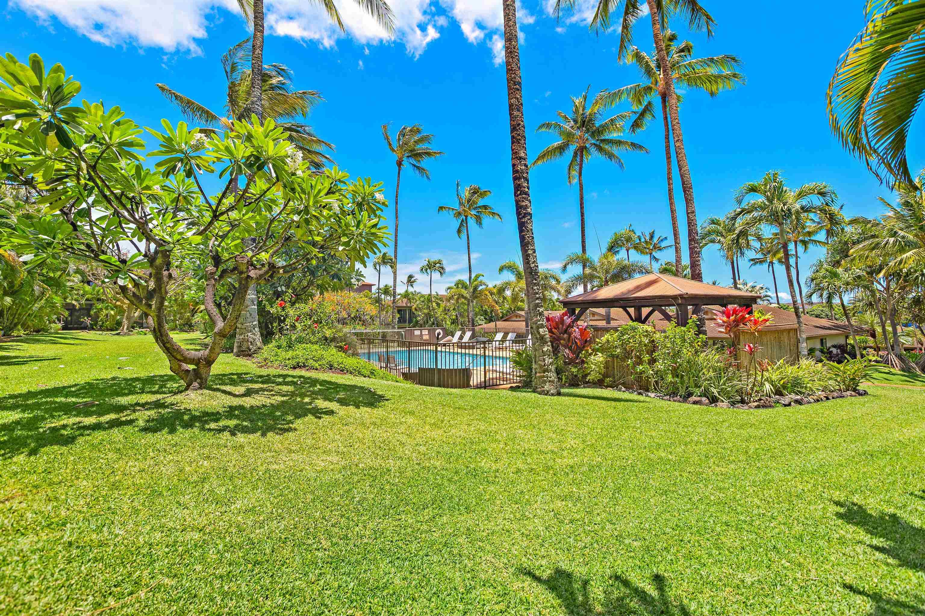 Lahaina, HI 96761,3788 Lower Honoapiilani Rd #D101