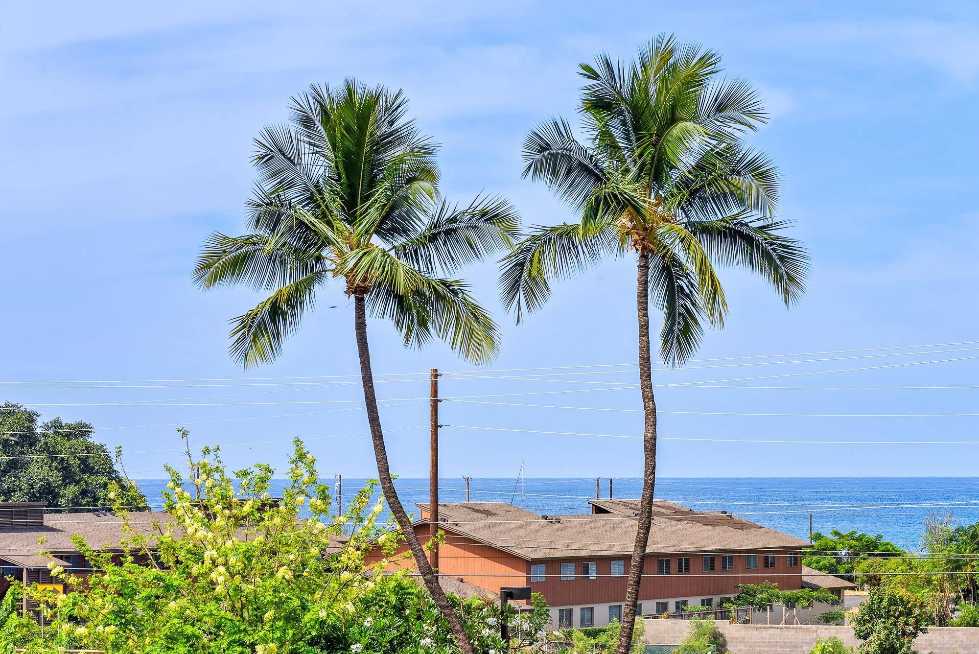 Lahaina, HI 96761,1400 Limahana Cir #D-301