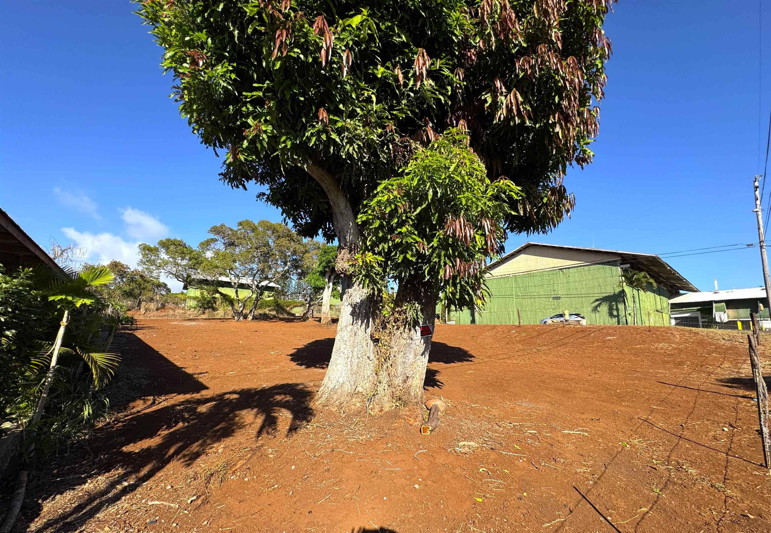 Kualapuu, HI 96757,1658 Okana St