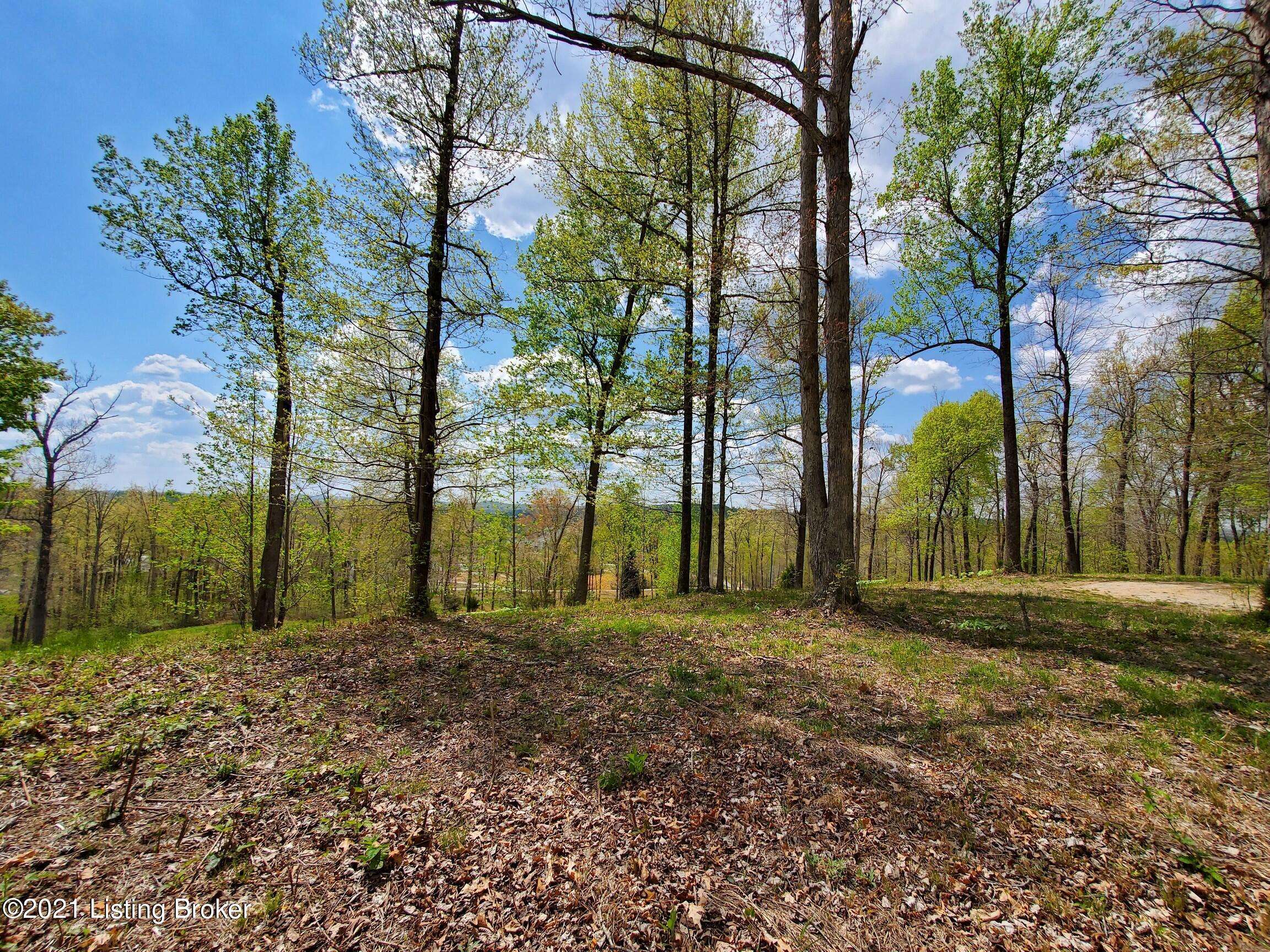 Falls Of Rough, KY 40119,63-65 Patriots Landing Ln