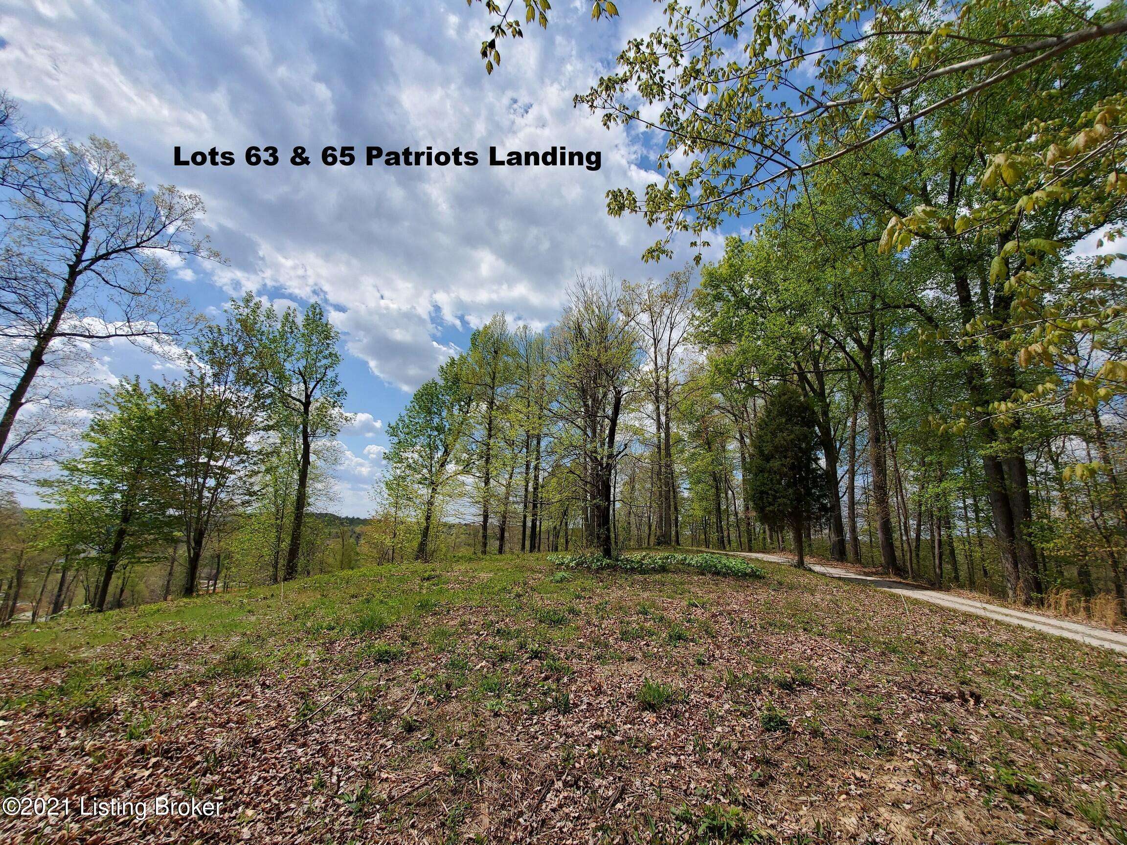 Falls Of Rough, KY 40119,63-65 Patriots Landing Ln