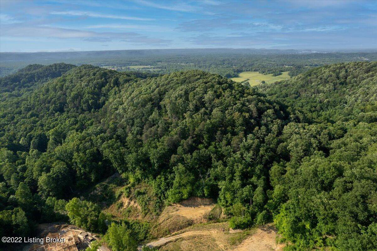 Lebanon Junction, KY 40150,Lot 21 Beech Valley Ct