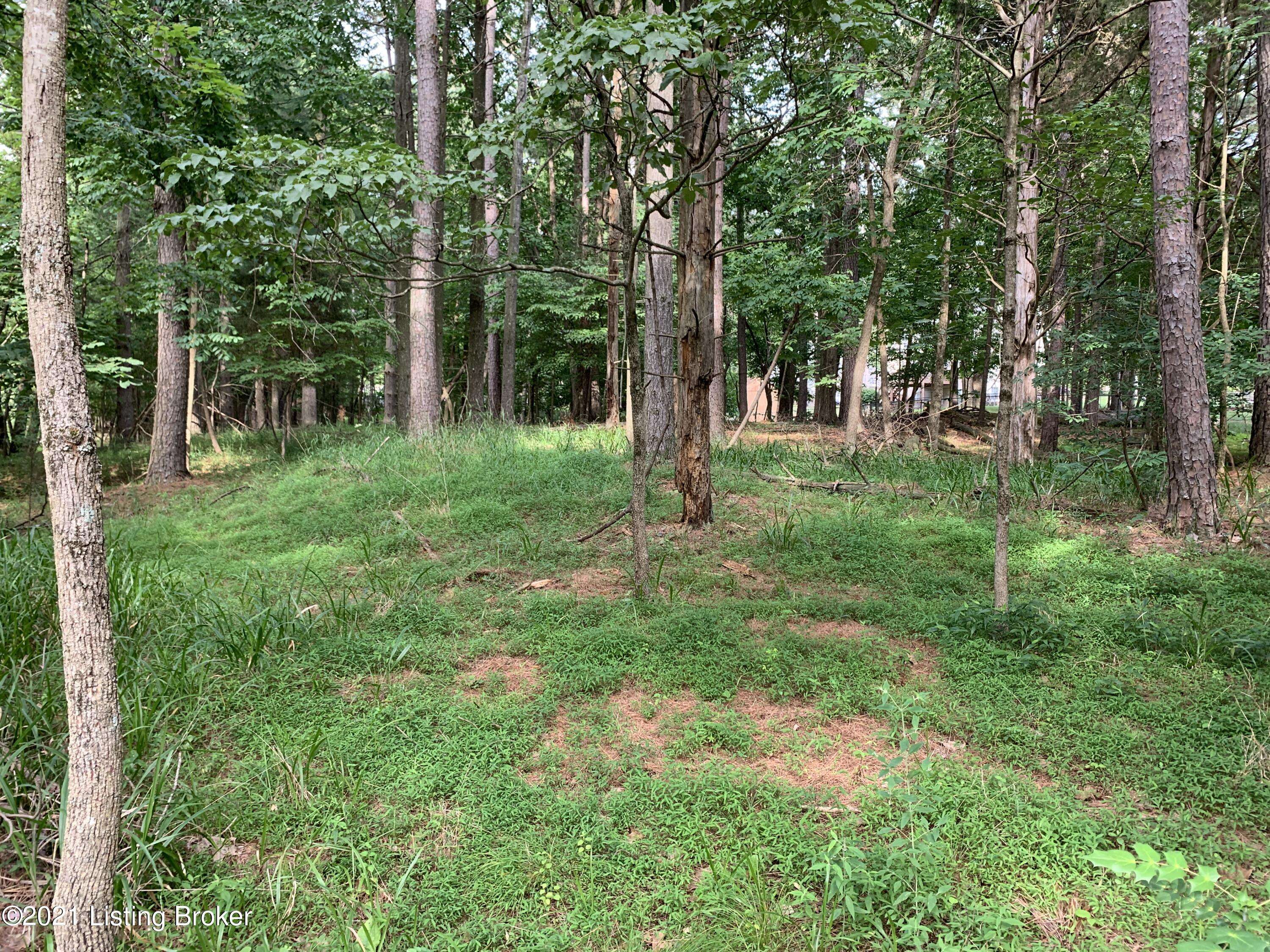 Brandenburg, KY 40108,Lot 148 Bent Pine Ln