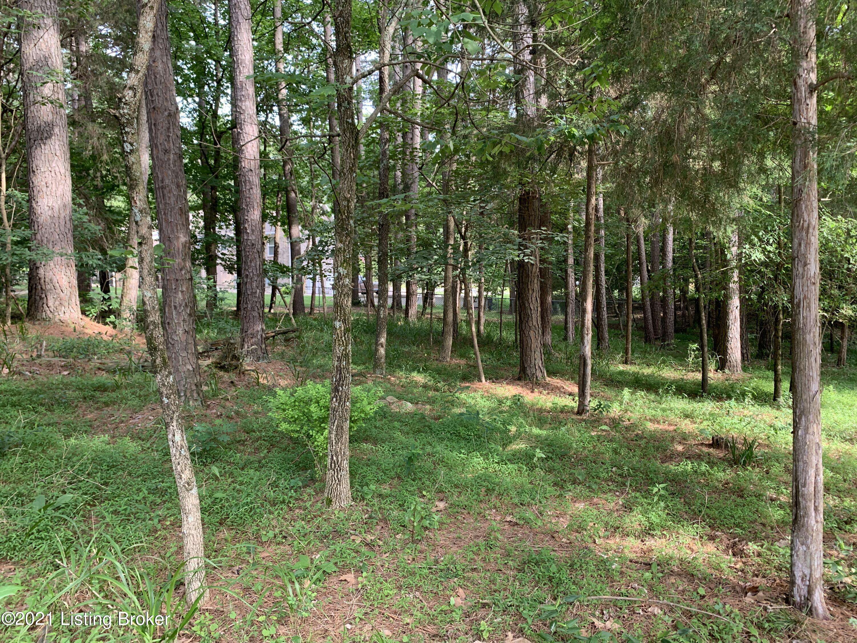 Brandenburg, KY 40108,Lot 148 Bent Pine Ln