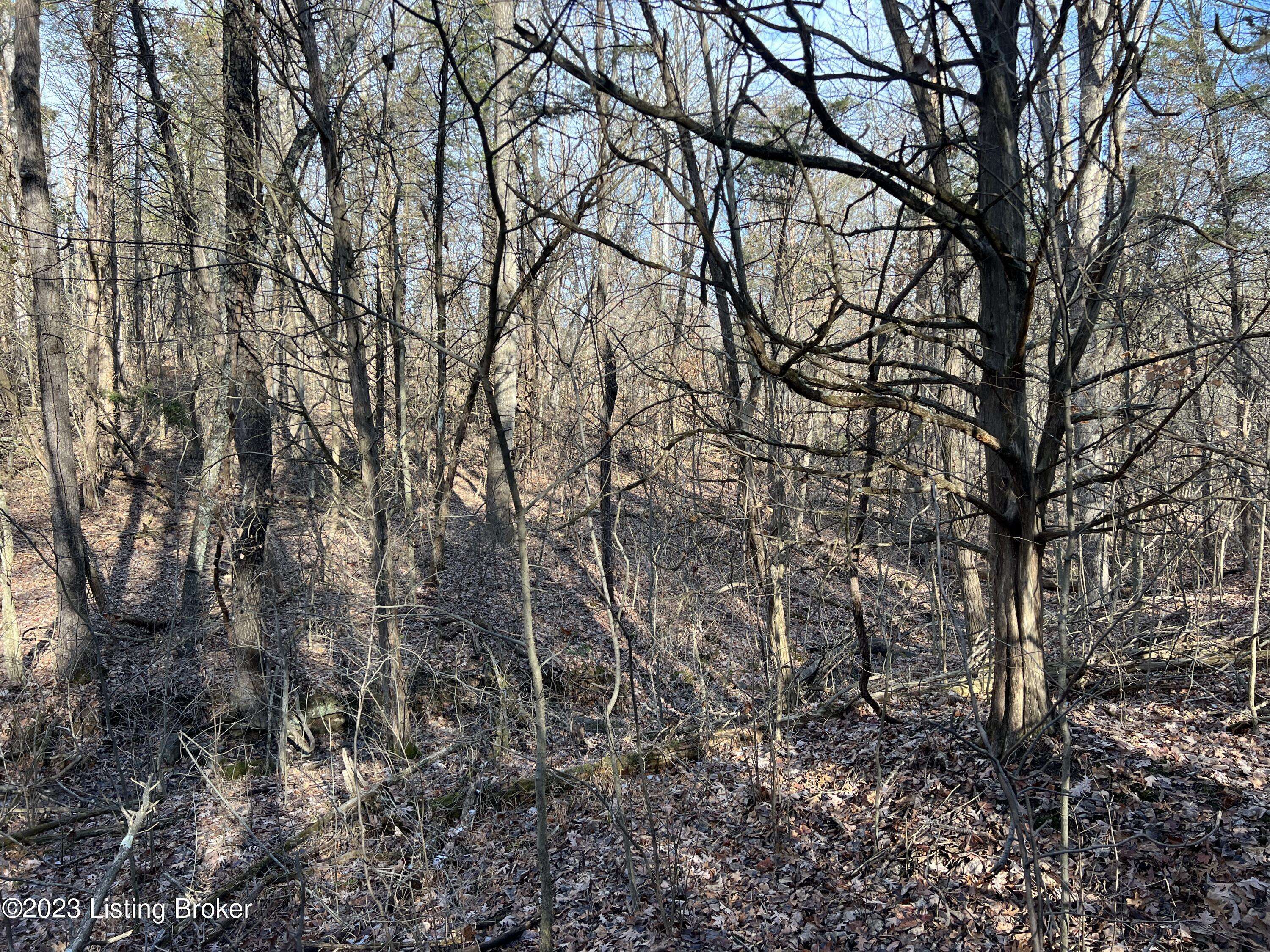 Bedford, KY 40045,Lot 7B Dogwood Estates