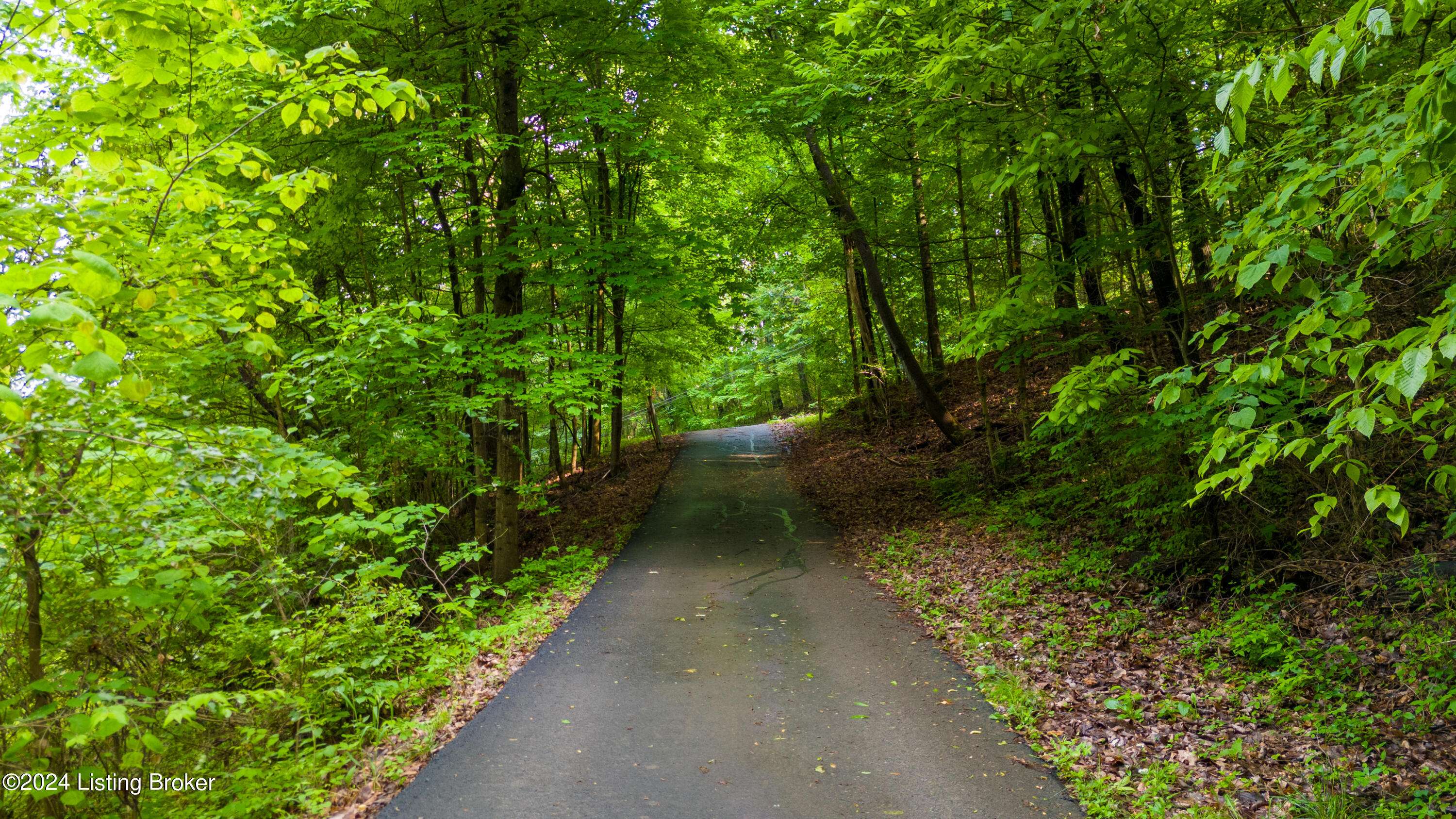 Brooks, KY 40109,418 Overlook Acres