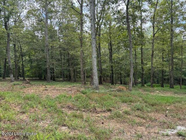 Leitchfield, KY 42754,0 Falls Ln. (Lot 7)