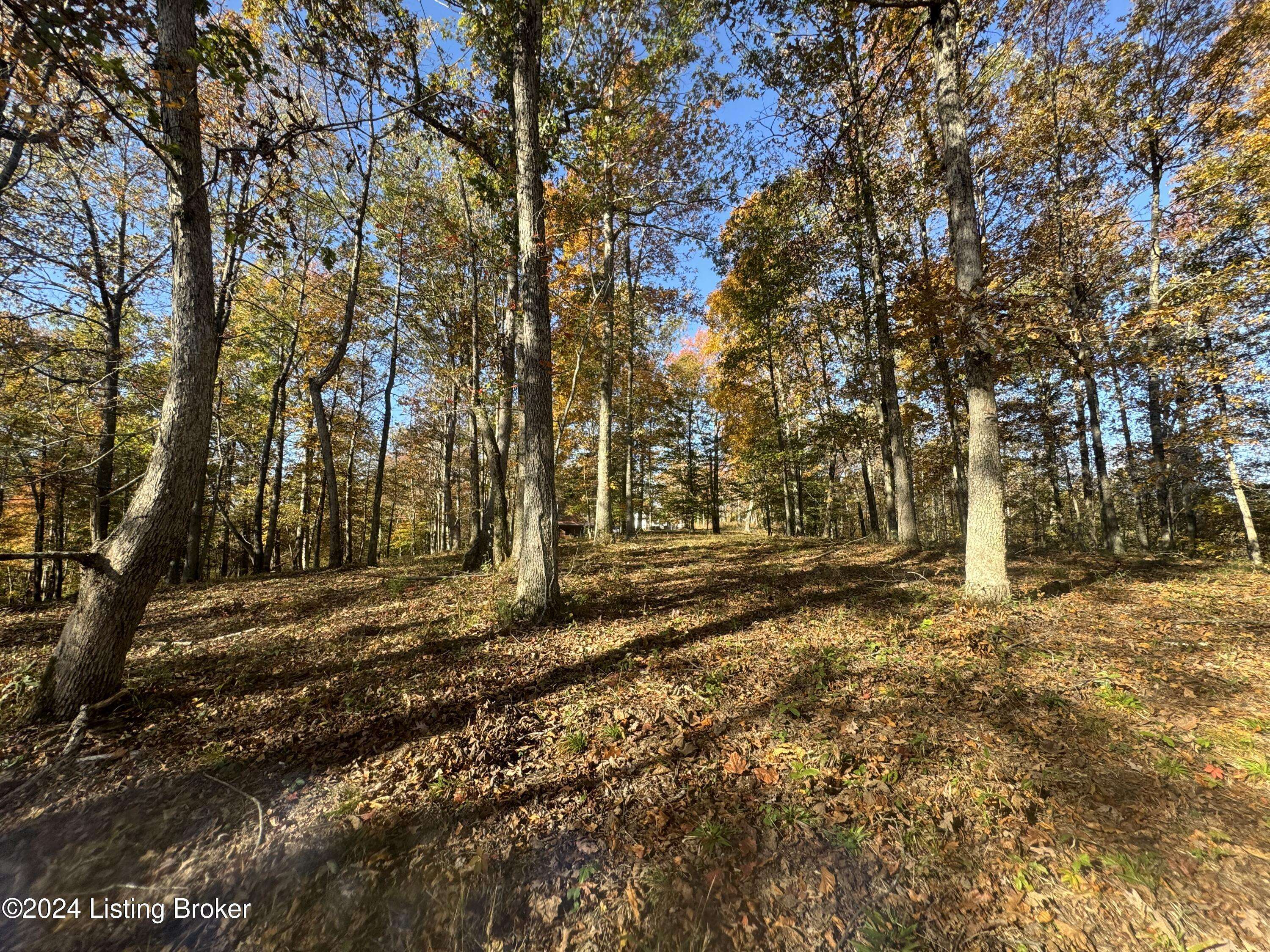 Leitchfield, KY 42754,0 Falls Ln. (Lot 8)