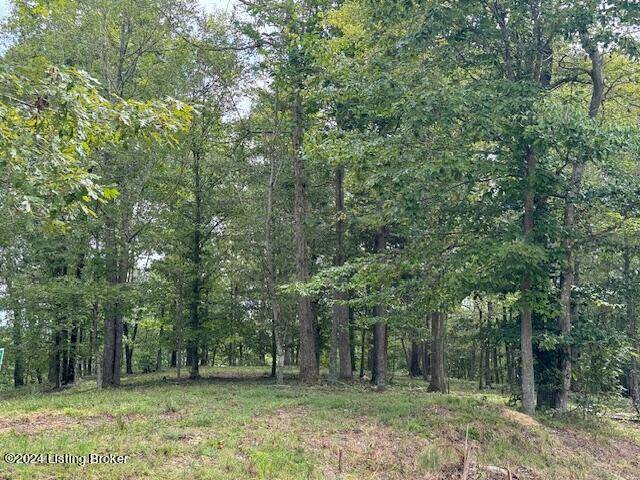 Leitchfield, KY 42754,0 Falls Ln. (Lot 8)