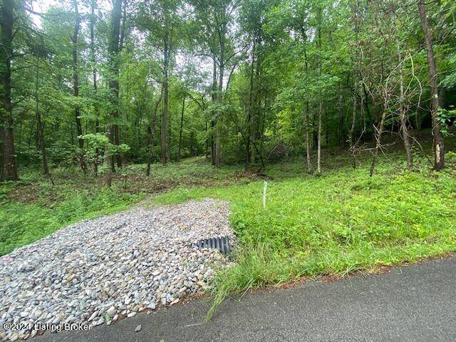 Cub Run, KY 42729,0 Waterview Ln