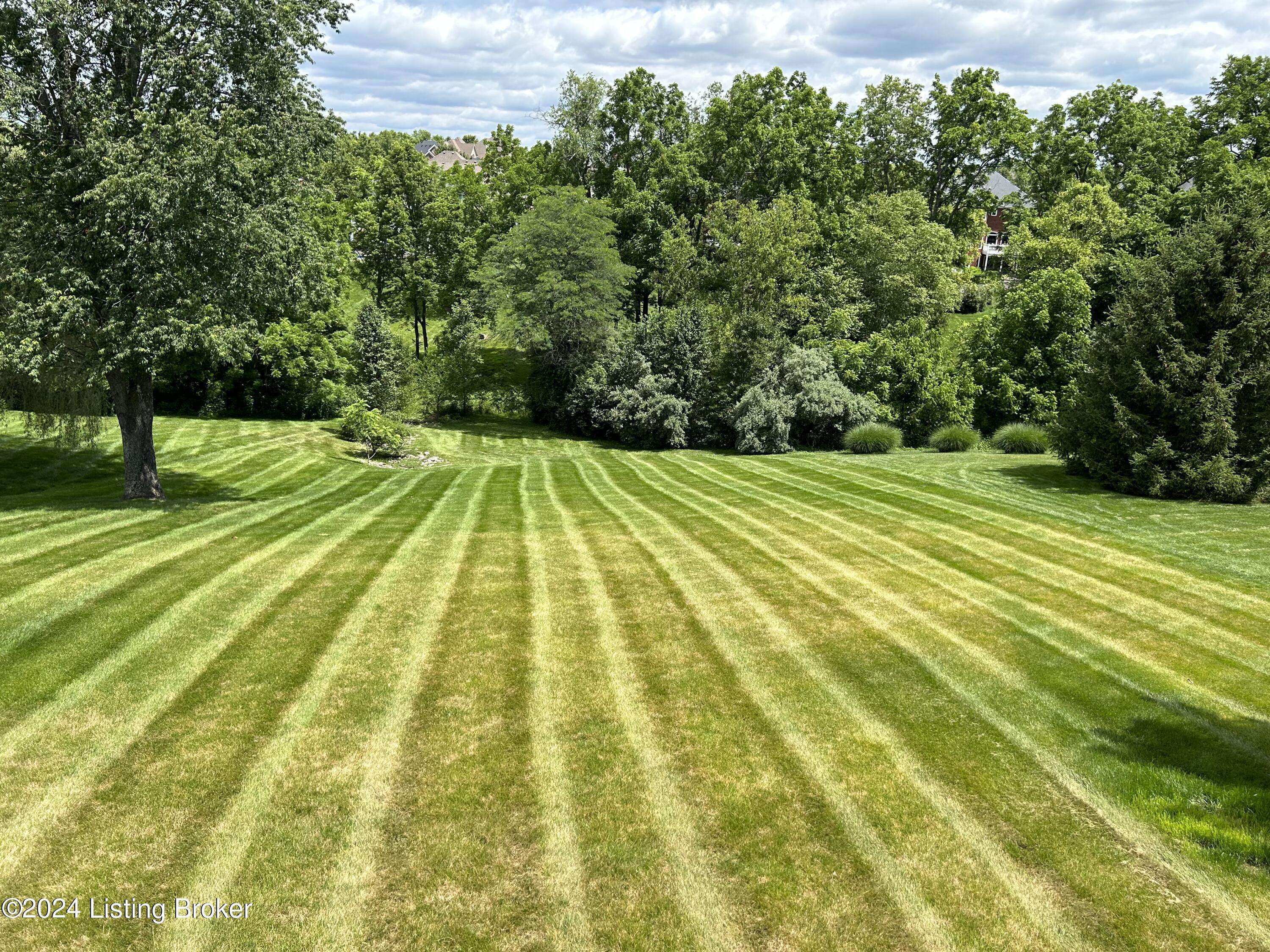 Prospect, KY 40059,12733 Crestmoor Cir