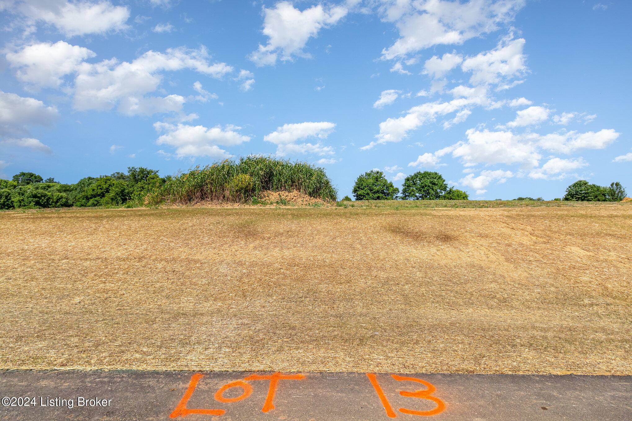 Fisherville, KY 40023,Lot 13 Eagle Vista Estates