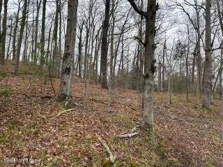 Bee Springs, KY 42207,Lot 81 Penn Run Rd