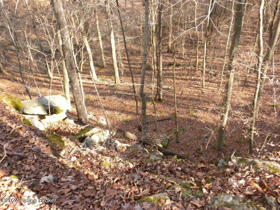 Bowling Green, KY 42101,0 Benleo Rd