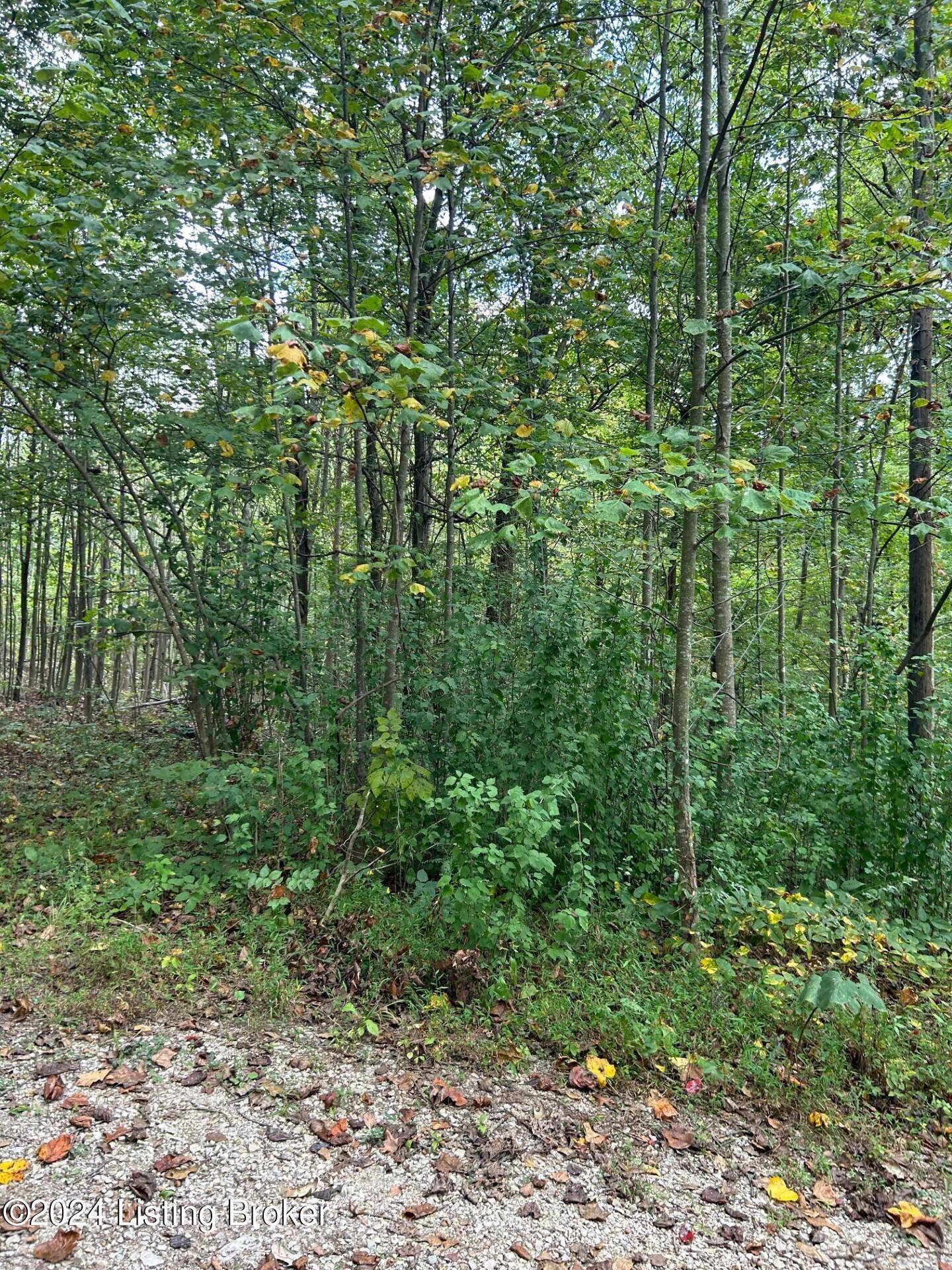Rineyville, KY 40162,0 Big Chief Ln