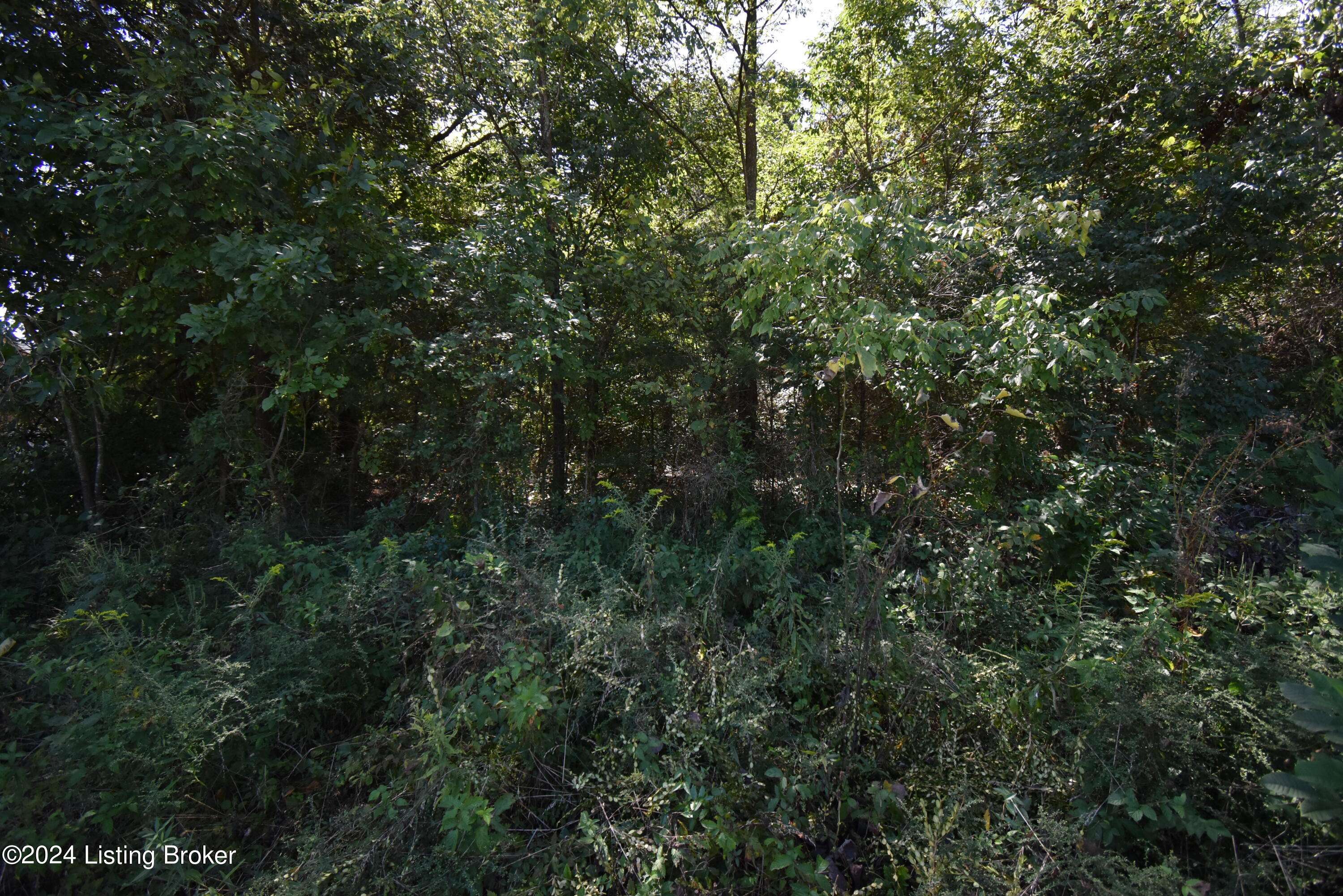 Coxs Creek, KY 40004,25 Heritage Dr